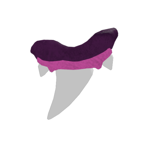 Shiny Sharkra